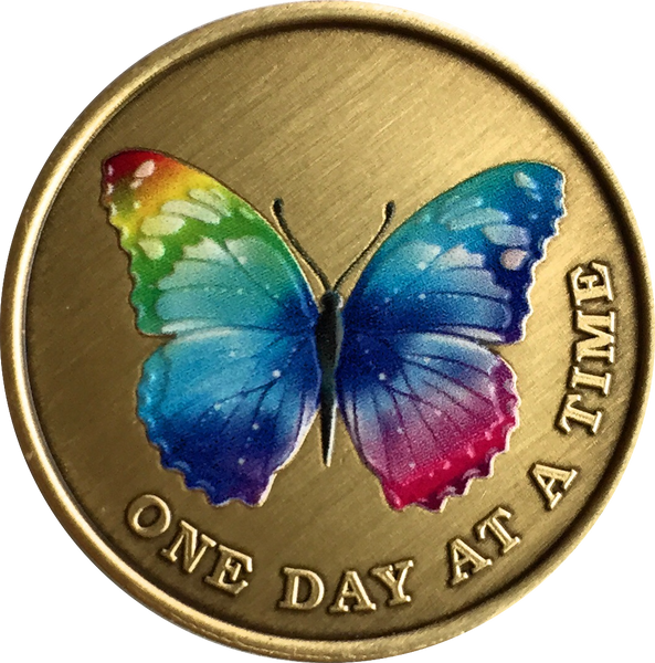 Color Rainbow Butterfly One Day At A Time Medallion Serenity Prayer Bronze Chip - RecoveryChip