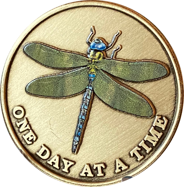 Green Dragonfly One Day At A Time Medallion With Serenity Prayer