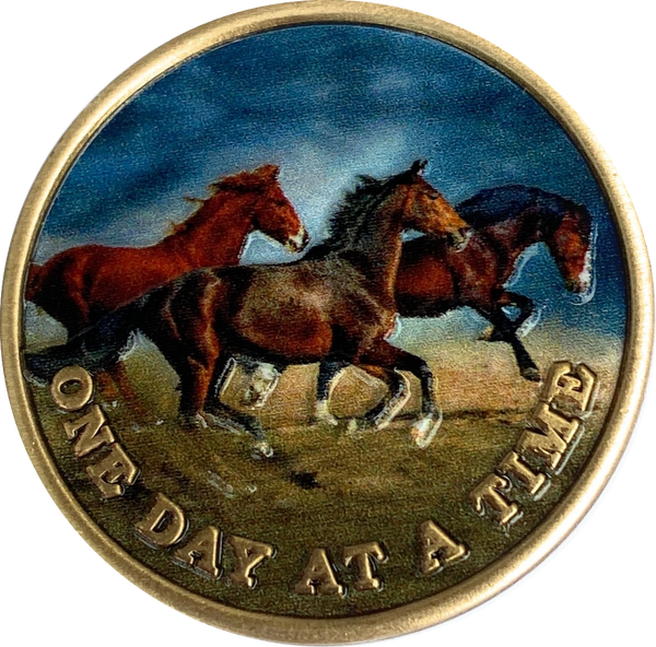 Brown Horses Galloping One Day At A Time Color Serenity Prayer Medallion Coin