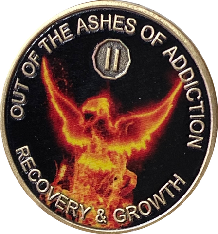 2 Year Out Of The Ashes Of Addiction Phoenix Flames Medallion Serenity Prayer Back