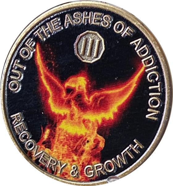 3 Year Out Of The Ashes Of Addiction Phoenix Flames Medallion Serenity Prayer Back