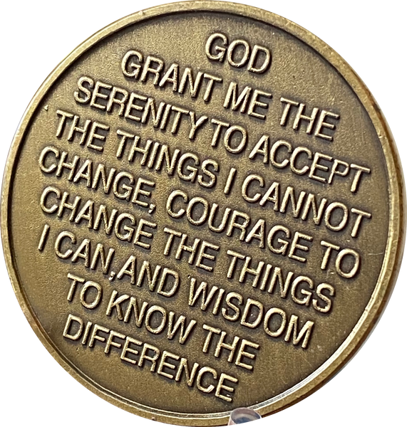 5 Year Out Of The Ashes Of Addiction Phoenix Flames Medallion Serenity Prayer Back