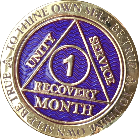 1 - 11 Month AA Medallion Reflex Purple Gold Plated Sobriety Chip Coin - RecoveryChip