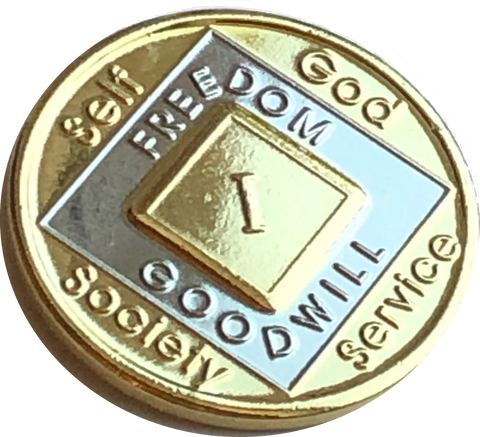 NA Medallion Bi-Plate Gold and Nickel Plated Year 1 - 40 Official Sobriety Chip - RecoveryChip