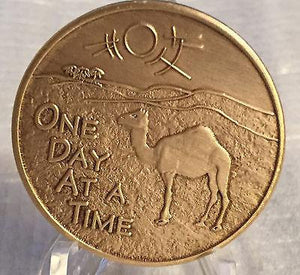 Camel Desert Scene ODAAT One Day At A Time Camel Poem Bronze Sobriety Medallion - RecoveryChip