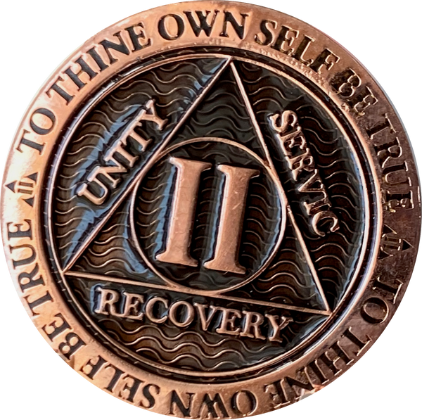 Missing E in Servic 2 Year Copper Plated AA Medallion Reflex Black Design By Recoverychip.com