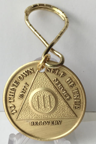 AA Medallion Bronze Keychain Month 1 2 3 4 5 6 7 8 9 10 11 or 18 Keytag - RecoveryChip