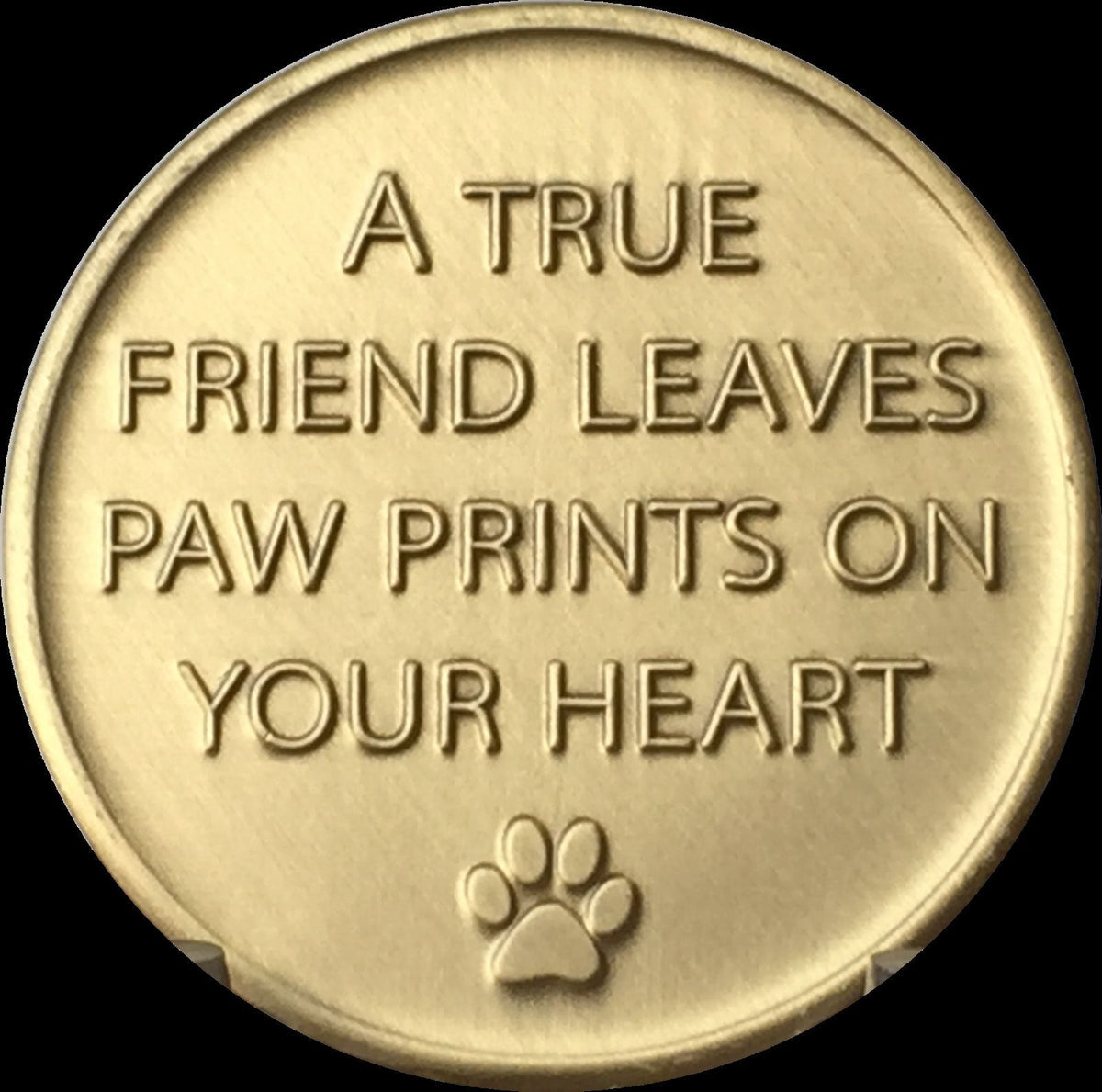 Always Remembered Forever Loved Pet Memorial Coin - A True Friend Leav ...