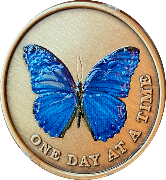 Blue Butterfly One Day At A Time Serenity Prayer Medallion Coin