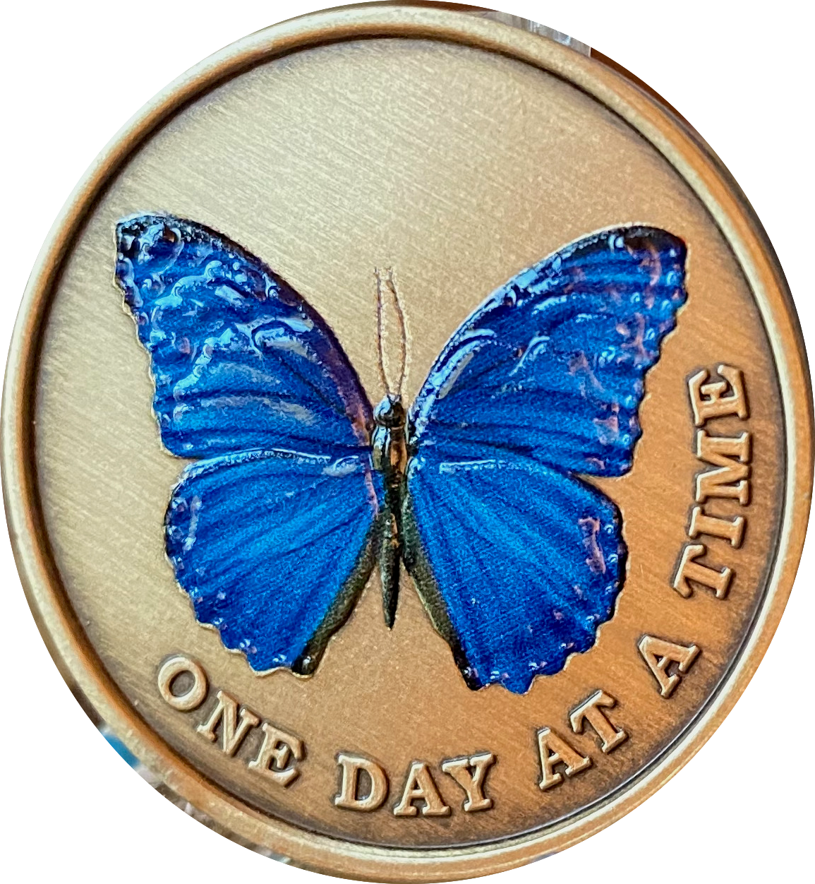 Blue Butterfly One Day At A Time Serenity Prayer Medallion Coin