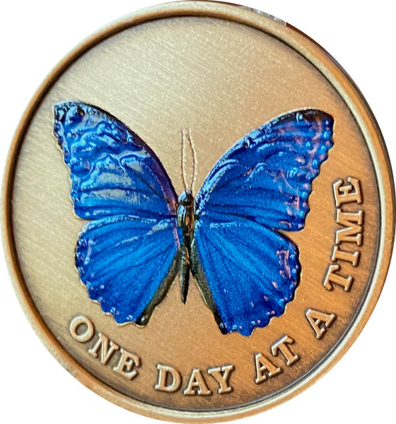 Blue Butterfly One Day At A Time Serenity Prayer Medallion Coin