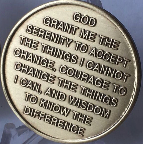 Camel One Day At A Time - Serenity Prayer Bronze AA Alcoholics Anonymous Medallion Chip - RecoveryChip