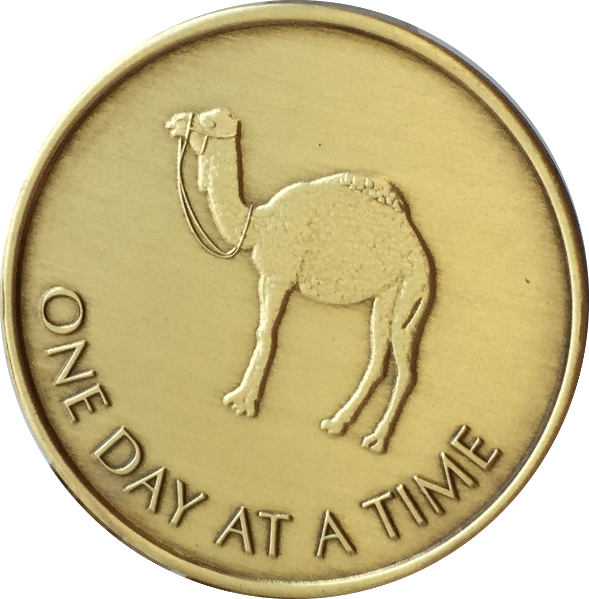 Camel One Day At A Time Greatest Possession 24 Hours Ahead Bronze Medallion Sobriety Chip - RecoveryChip