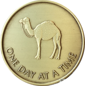 Camel One Day At A Time Serenity Prayer Medallion Bronze Sobriety Chip Coin - RecoveryChip