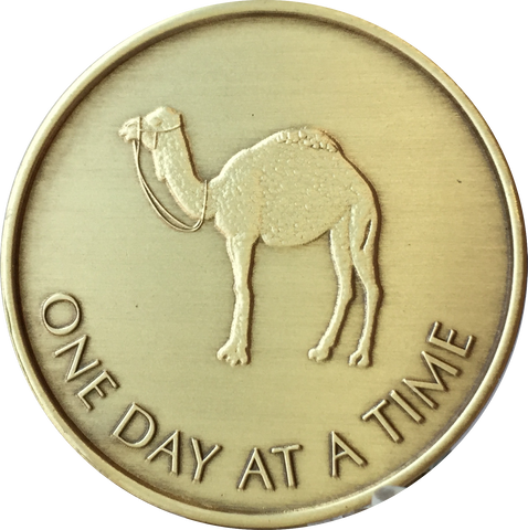 Camel One Day At A Time Serenity Prayer Medallion Bronze Sobriety Chip Coin - RecoveryChip