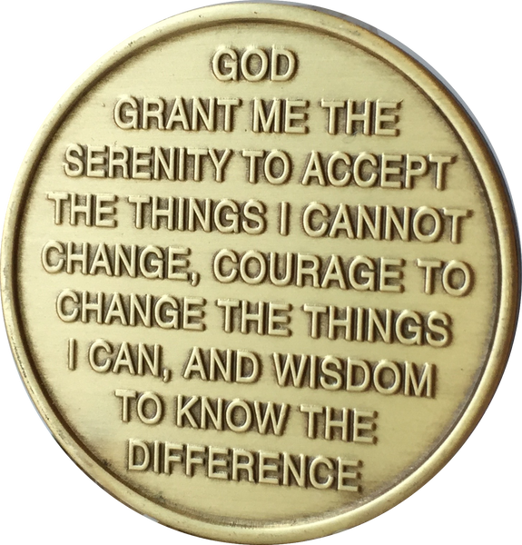 Camel One Day At A Time Serenity Prayer Medallion Bronze Sobriety Chip Coin - RecoveryChip