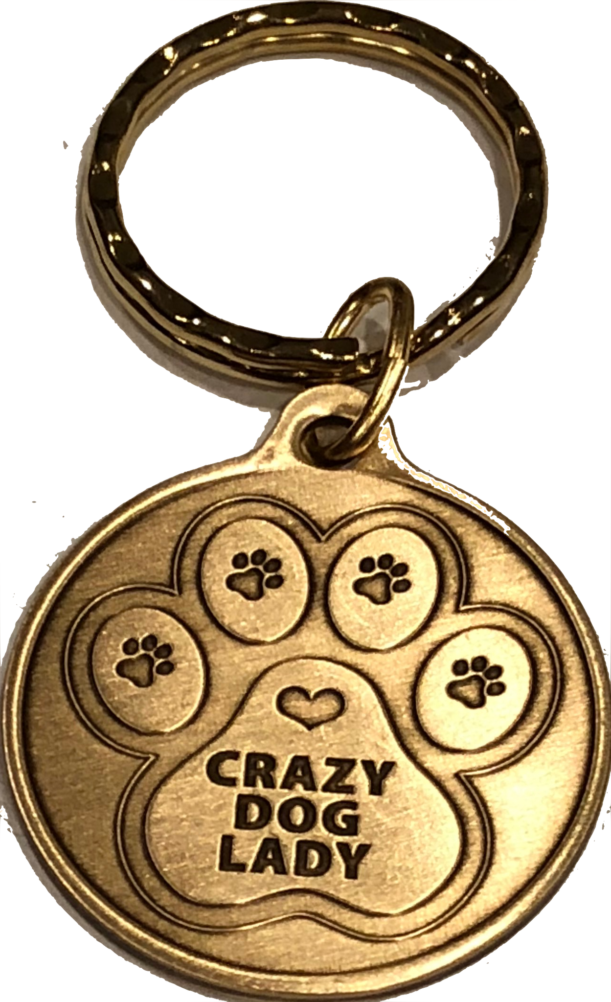 Crazy Dog Lady - A True Friend Dog Pet Keychain Bronze RecoveryChip Design - RecoveryChip