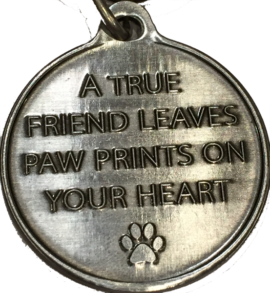 Crazy Cat Lady - A True Friend Dog Pet Keychain Pewter Color RecoveryChip Design - RecoveryChip