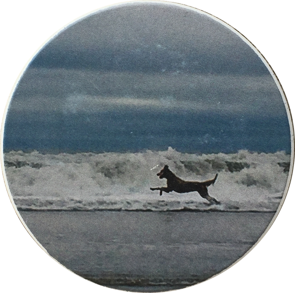 Beach Dog Playing In Surf Absorbent Stone Car Auto Coaster 2.5" St Augustine Cup Holder - RecoveryChip