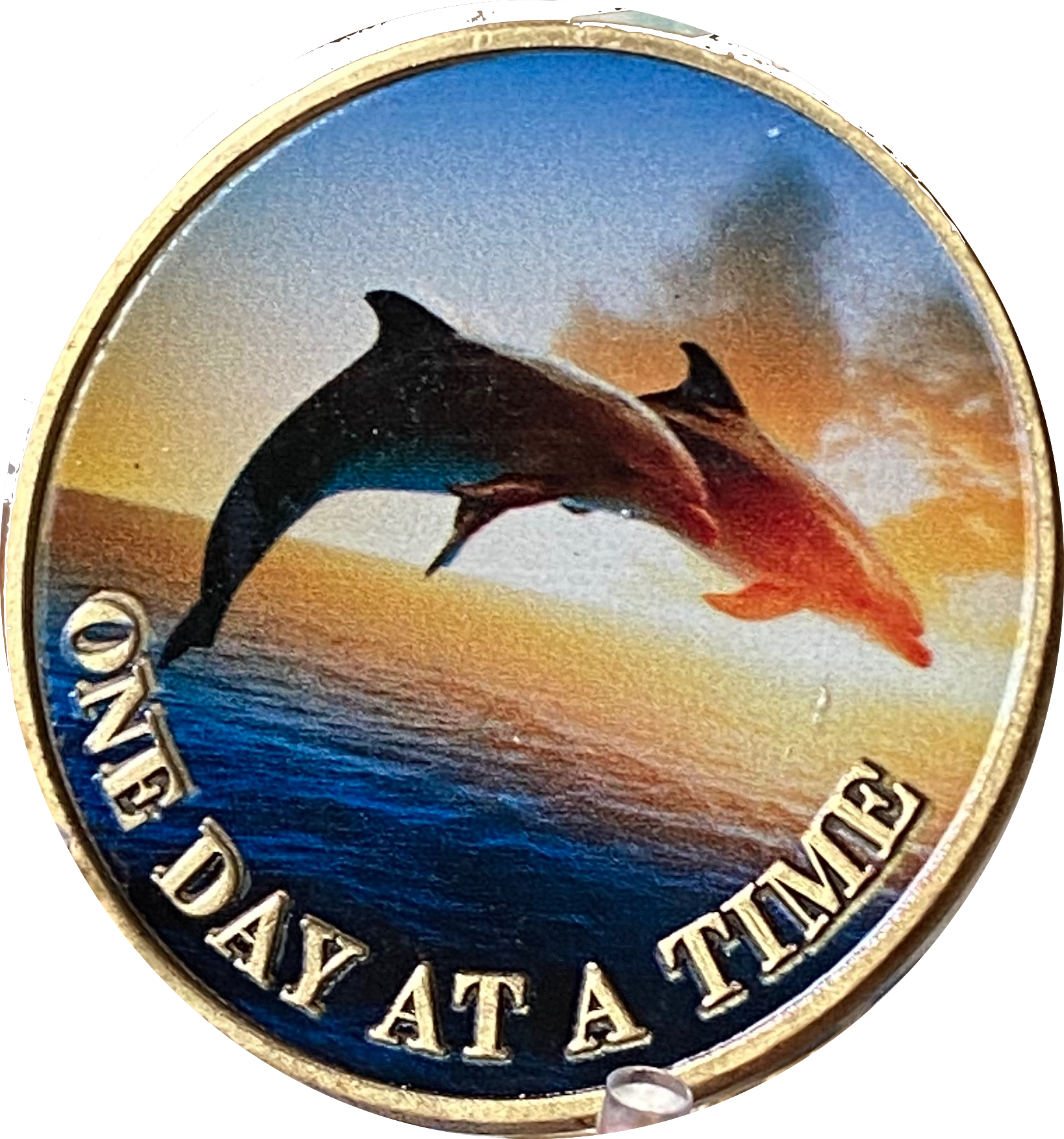 Dolphins Swimming Ocean One Day at A Time Medallion Serenity Prayer Chip…