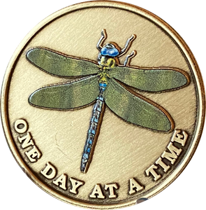 Green Dragonfly One Day At A Time Medallion With Serenity Prayer
