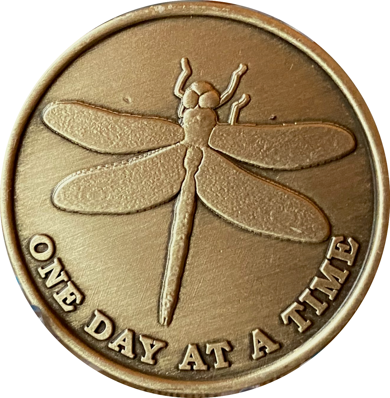 Bulk Roll of 25 Dragonfly One Day At A Time Medallion With Serenity Prayer