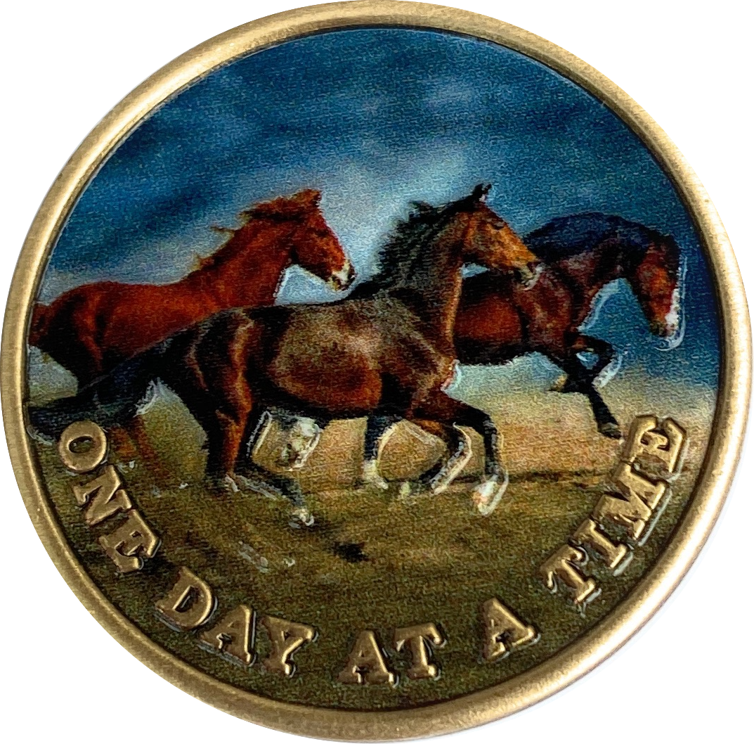 Brown Horses Galloping One Day At A Time Color Serenity Peace Within The Storm Medallion Coin