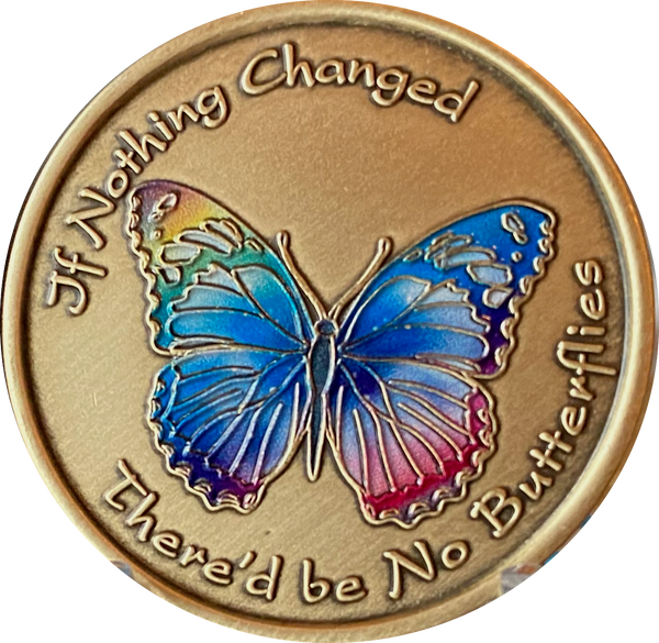 If Nothing Changed There'd Be No Butterflies Color Rainbow Serenity Prayer Medallion