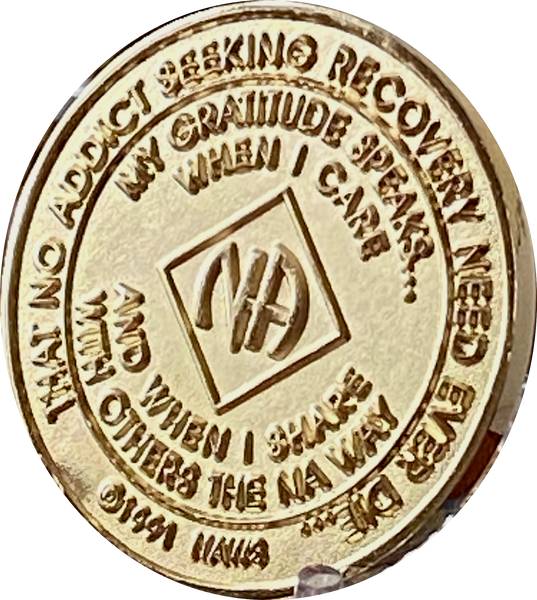 1 Year NA Medallion Highly Polished Clean Time Official Narcotics Anonymous Chip New Design