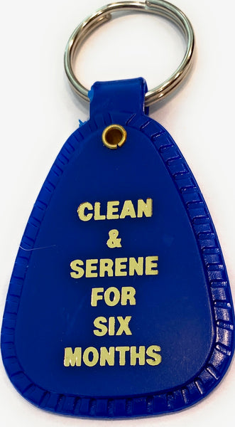 NA 6 Month Clean Keytag Blue Narcotics Anonymous 6 Months Keychain