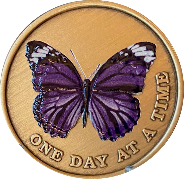 Purple Butterfly One Day At A Time Serenity Prayer Medallion Coin