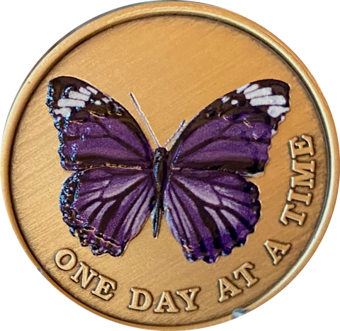 Purple Butterfly One Day At A Time Serenity Prayer Medallion Coin