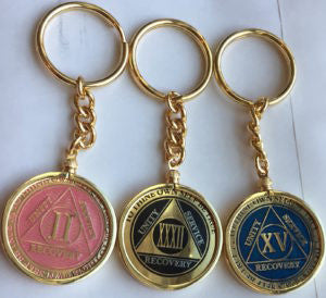 AA Medallion Holder Keychain For Recoverychip Reflex & Elegant Design Medallions - RecoveryChip