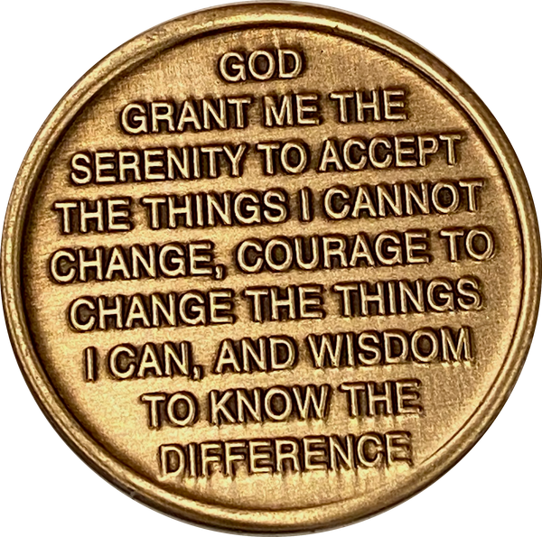 Ocean Swimming Sea Turtle One Day At A Time Color Serenity Prayer Medallion Coin