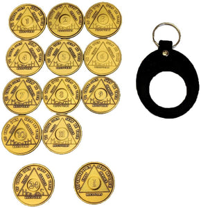 13 Coin AA Medallion Set With Universal Keychain Holder Month 1 - 11 and 1 Year and 24 Hours