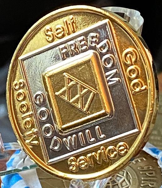 21 Year NA Medallion Bi-Plate Gold and Nickel Plated Narcotics Anonymous Clean Time Ship