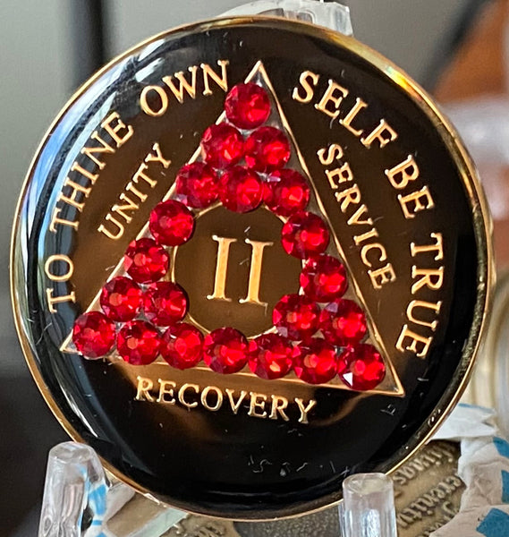 2 Year AA Medallion Black Siam Red Crystal Sobriety Chip