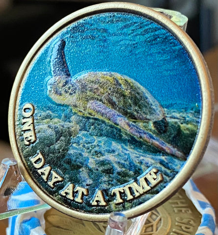 Ocean Swimming Sea Turtle One Day At A Time Color Serenity Prayer Medallion Coin